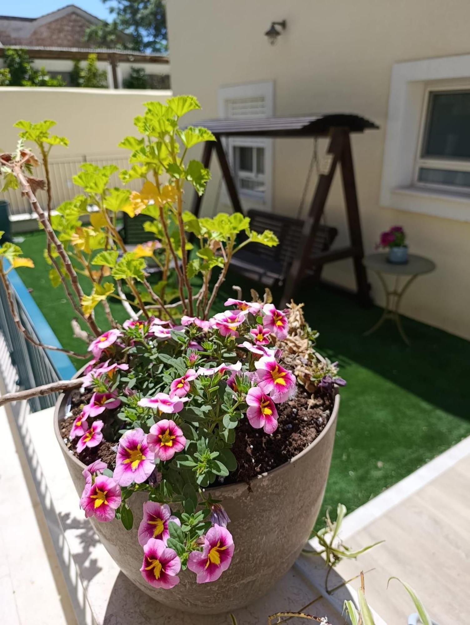 49 Boutique Villa Zikhron Ya'akov Phòng bức ảnh